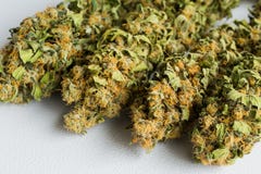 Macro étroit d'une usine de marijuana médicale sèche de cannabis avec image stock Macro étroit d'une usine de marijuana médicale sèche de cannabis avec image stock