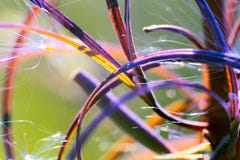 macrokader abstracte natuurlijke schoonheid van vreugde en lichtheid stock foto macrokader abstracte natuurlijke schoonheid van vreugde en lichtheid stock foto