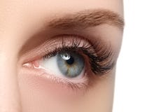 Macroschot van het mooie oog van de vrouw met uiterst lange wimpers Sexy mening, sensuele blik Vrouwelijk oog met lange wimpers royalty-vrije stock afbeelding Macroschot van het mooie oog van de vrouw met uiterst lange wimpers Sexy mening, sensuele blik Vrouwelijk oog met lange wimpers royalty-vrije stock afbeelding