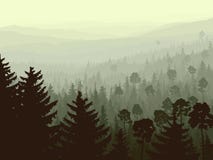 Madera conífera salvaje en niebla de la mañana. ilustración del vector Madera conífera salvaje en niebla de la mañana. ilustración del vector