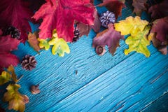 Madera de la naturaleza de las hojas de los regalos del fondo del otoño Foto de archivo libre de regalías Madera de la naturaleza de las hojas de los regalos del fondo del otoño Foto de archivo libre de regalías