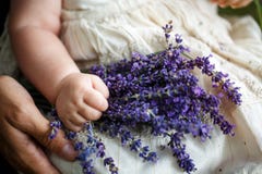 Madre che tiene un bambino e un mazzo di lavanda fotografia stock Madre che tiene un bambino e un mazzo di lavanda fotografia stock