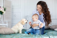 Madre, hijo joven y un perrito hermoso del golden retriever en cama imagenes de archivo Madre, hijo joven y un perrito hermoso del golden retriever en cama imagenes de archivo