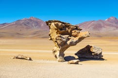 Rock Tree in the Siloli Desert, Bolivia stock photo Rock Tree in the Siloli Desert, Bolivia stock photo