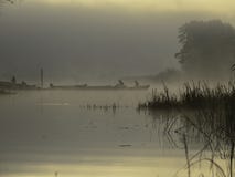 magic morning on the river stock photography magic morning on the river stock photography