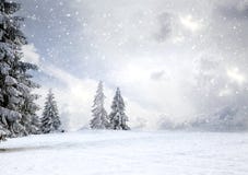 Magical Christmas Card With Fairy Tale Winter Landscape With Snow Covered Firs Stock Images Magical Christmas Card With Fairy Tale Winter Landscape With Snow Covered Firs Stock Images