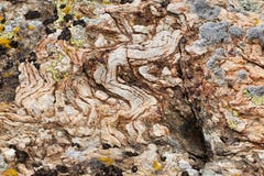 Magma rock with garnet crystals Royalty Free Stock Photography Magma rock with garnet crystals Royalty Free Stock Photography