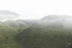 Magnificent view of a green mountain stock photography Magnificent view of a green mountain stock photography