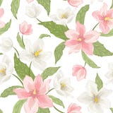 Magnoliowy Sakura ciemiernika kwiatów menchii biel ilustracji Magnoliowy Sakura ciemiernika kwiatów menchii biel ilustracji