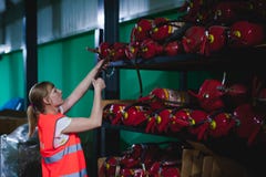 Main-d'œuvre féminine sur l'usine de bière femme de portrait dans la robe longue, se tenant sur la ligne production alimentaire d photographie stock Main-d'œuvre féminine sur l'usine de bière femme de portrait dans la robe longue, se tenant sur la ligne production alimentaire d photographie stock