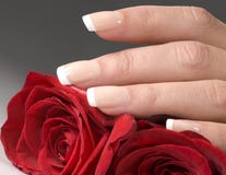Main de femme avec les roses rouges photographie stock libre de droits Main de femme avec les roses rouges photographie stock libre de droits