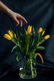Main femelle avec des tulipes images stock Main femelle avec des tulipes images stock