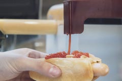 Main haute étroite tenant un hot-dog et verser la sauce différente au restaurant f d'aliments de préparation rapide image libre de droits Main haute étroite tenant un hot-dog et verser la sauce différente au restaurant f d'aliments de préparation rapide image libre de droits