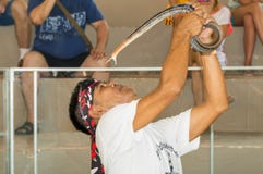 Mais doméstico com uma serpente imagens de stock Mais doméstico com uma serpente imagens de stock