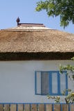 Maison traditionnelle de delta de Danube image libre de droits Maison traditionnelle de delta de Danube image libre de droits