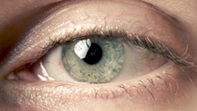 inflammation i ögat