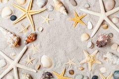 Makroram från sjöstjärna och snäckskal på bästa sikt för sandig strand royaltyfri fotografi Makroram från sjöstjärna och snäckskal på bästa sikt för sandig strand royaltyfri fotografi