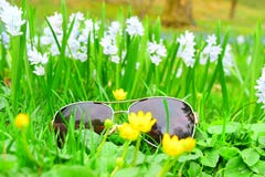 Makroschuß von Gläsern in den weißen Blumen stockbild Makroschuß von Gläsern in den weißen Blumen stockbild