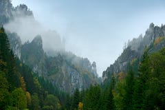 Mala Fatra góra, Sistani Żółci drzewa Jesień las, wiele drzewa w wzgórzach, spadku krajobraz Drewno z colours drzewnymi dzień des zdjęcie royalty free Mala Fatra góra, Sistani Żółci drzewa Jesień las, wiele drzewa w wzgórzach, spadku krajobraz Drewno z colours drzewnymi dzień des zdjęcie royalty free