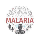 Malarialinie Ikonenfahne Infographics Symptome, Vektorzeichen für Netzgraphiken vektor abbildung Malarialinie Ikonenfahne Infographics Symptome, Vektorzeichen für Netzgraphiken vektor abbildung