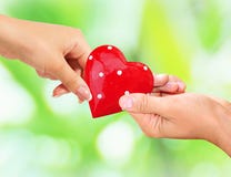 Male and female hands holding red heart Royalty Free Stock Photo Male and female hands holding red heart Royalty Free Stock Photo