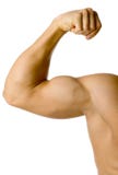 Male flexed arm