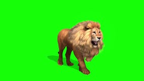 Male Lion  Best Green Screen ( Download Link ) on Make a GIF