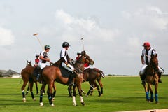 Male Polo Players Stock Photos Male Polo Players Stock Photos