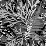 mall Herbarium med l?sa blommor, filialer, sidor Botanisk bakgrundsmonokrom vektor illustrationer mall Herbarium med l?sa blommor, filialer, sidor Botanisk bakgrundsmonokrom vektor illustrationer