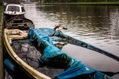 Mallard kaczki stojaki na przyrodniej tonącej łodzi w Amsterdam kanale z jego uskrzydlają rozszerzanie się zdjęcie royalty free Mallard kaczki stojaki na przyrodniej tonącej łodzi w Amsterdam kanale z jego uskrzydlają rozszerzanie się zdjęcie royalty free