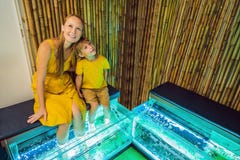 Maman et fils ? la station thermale de poissons image stock Maman et fils ? la station thermale de poissons image stock