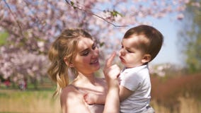Mamá joven de la madre que detiene a su pequeño niño del muchacho del hijo del bebé debajo de los árboles florecientes de SAKURA metrajes Mamá joven de la madre que detiene a su pequeño niño del muchacho del hijo del bebé debajo de los árboles florecientes de SAKURA metrajes