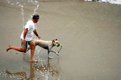 Man And Dog On Beach Stock Image Man And Dog On Beach Stock Image