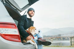 Man with beagle dog siting together in car trunk. Late autumn ti stock images Man with beagle dog siting together in car trunk. Late autumn ti stock images