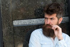 Man with beard and mustache on concentrated face, black marble background. Guy looks interested and curious. Masculinity Royalty Free Stock Photos Man with beard and mustache on concentrated face, black marble background. Guy looks interested and curious. Masculinity Royalty Free Stock Photos