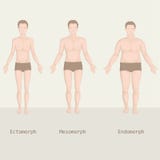 Man body types, from fat to fitness,