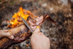 Man carving grilled rabbit meat in forest camp. Top view. stock image Man carving grilled rabbit meat in forest camp. Top view. stock image