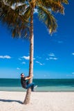 Man climbing a palm tree Stock Photo Man climbing a palm tree Stock Photo