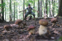 Man collect mushrooms Royalty Free Stock Images Man collect mushrooms Royalty Free Stock Images
