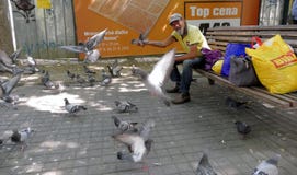 A man feeds birds and pigeons at the park Royalty Free Stock Photos A man feeds birds and pigeons at the park Royalty Free Stock Photos