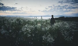 Man in field of wild flowers in summer at sunset royalty free stock photos Man in field of wild flowers in summer at sunset royalty free stock photos