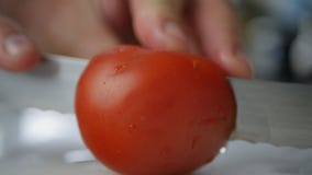 Man Hand Cut With a Knife a Tomatoes in Half royalty free stock image Man Hand Cut With a Knife a Tomatoes in Half royalty free stock image