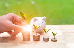 Man hand holding coin money cover growing plant and piggy bank with money coins in saving money. Stock Photography Man hand holding coin money cover growing plant and piggy bank with money coins in saving money. Stock Photography