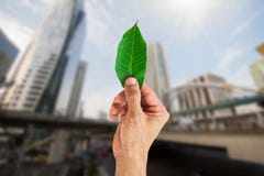 Man hand holding green leaf on blurred city background stock photo Man hand holding green leaf on blurred city background stock photo