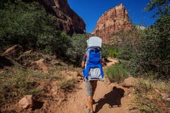 A man with his baby boy are trekking in Zion national park, Utah, USA stock image A man with his baby boy are trekking in Zion national park, Utah, USA stock image