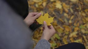 Man holding beautiful yellow leaf in his hands, thinking about past, nostalgia