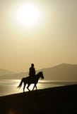 Man ridig horse at sunrise
