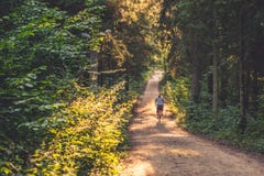 Man riding a bike in forest Royalty Free Stock Images Man riding a bike in forest Royalty Free Stock Images