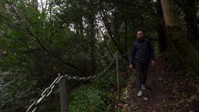 Man som går på en bana i grön skog av denbuxbom dungen i Sochi, Ryssland stock video Man som går på en bana i grön skog av denbuxbom dungen i Sochi, Ryssland stock video