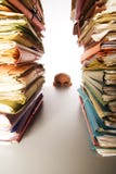 Man Stares At Files Stock Images Man Stares At Files Stock Images